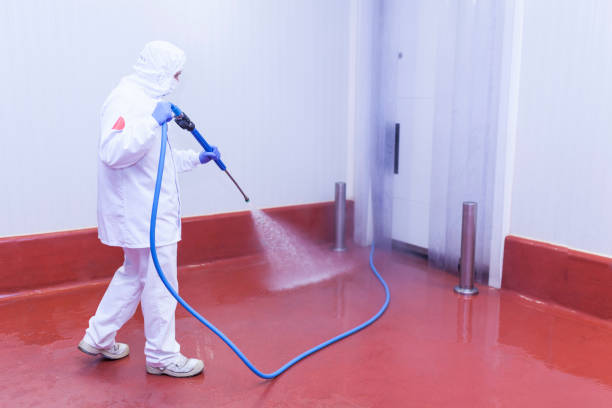 Best Building Exterior Washing  in Blacklick Estates, OH